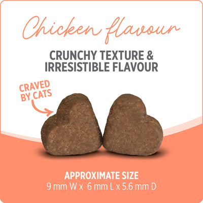 Nutrience Care Probiotic Supplement for Cats