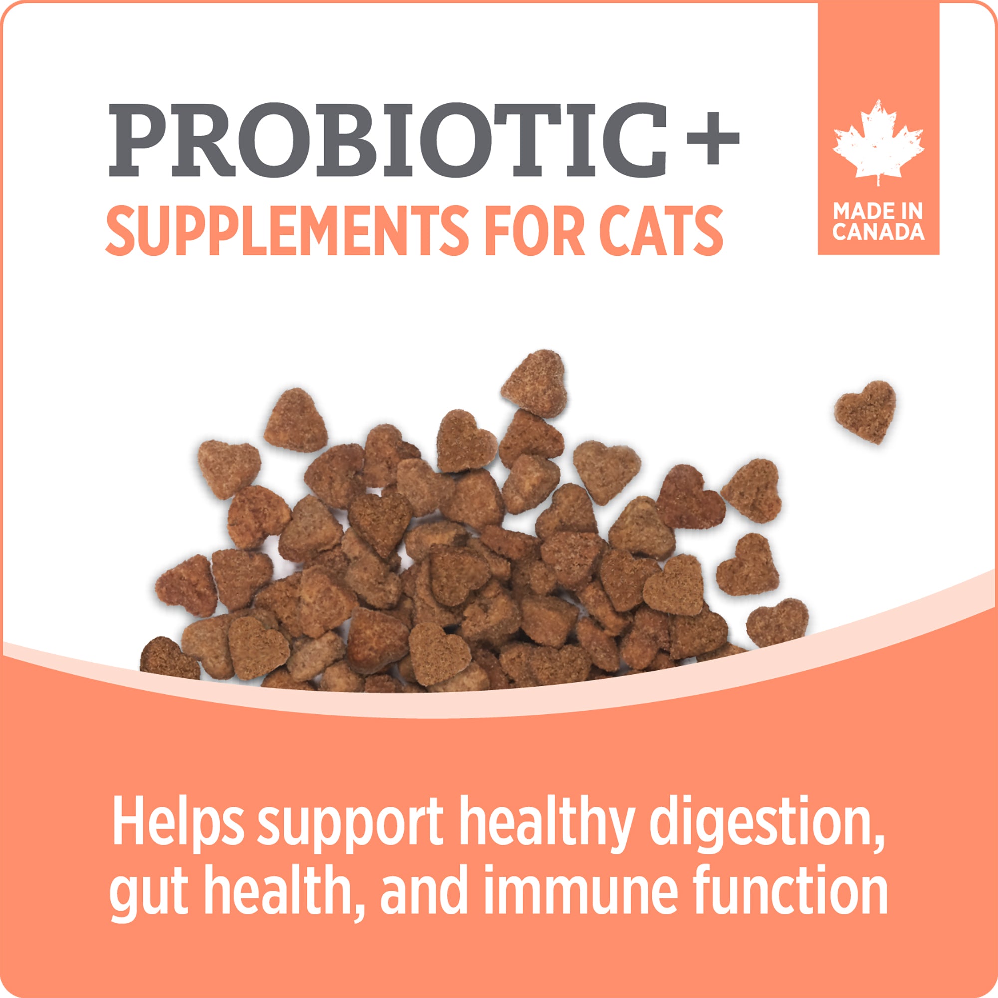 Nutrience Care Probiotic Supplement for Cats