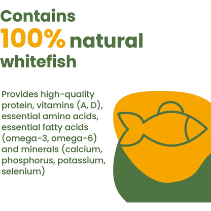 Almo Nature HQS Natural Mixed Seafood in Broth Grain-Free Canned Cat Food - 70g - Canned Cat Food - Almo Nature - PetMax Canada