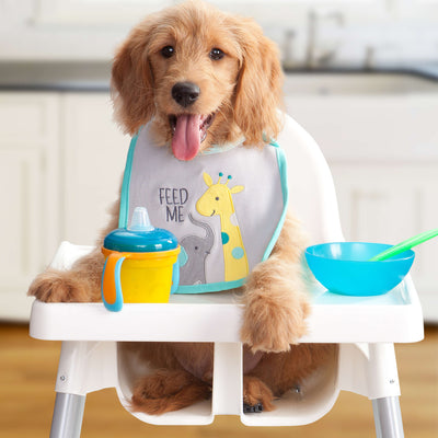 Fromm Gold Large Breed Puppy Food