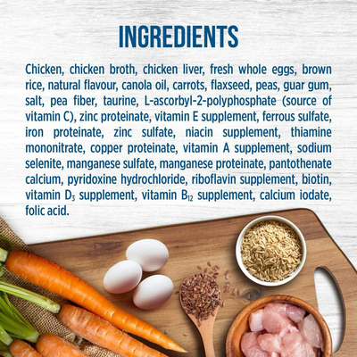 Nutrience Original Kitten Chicken Pate Wet Cat Food