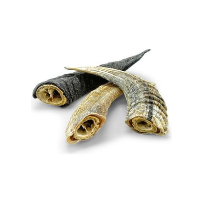 Icelandic Lamb Horn With Marrow