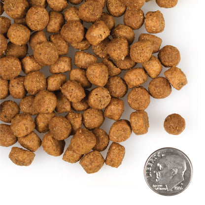 Nourriture pour chiots de grande race Fromm Gold