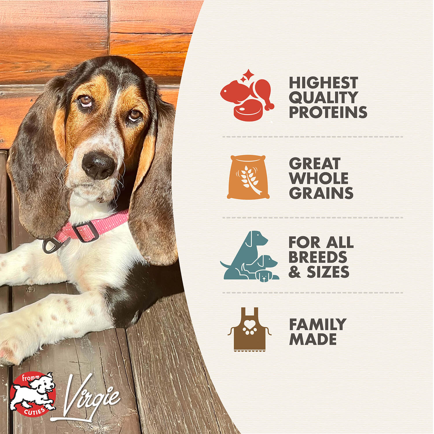 Buy Fromm Gold Adult Dog Food Online In Canada – PetMax