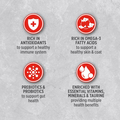 Nutrience Infusion Healthy Adult Beef Dry Dog Food