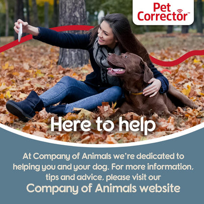 Pet Correcteur Air Comprimé