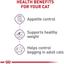 Royal Canin Feline Care Nutrition Appetite Control Care Spayed/Neutered Adult Dry Cat Food  Cat Food  | PetMax Canada