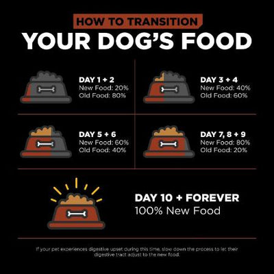 VA! SOIN DE LA PEAU + DU PELAGE Recette Saumon pour chiens