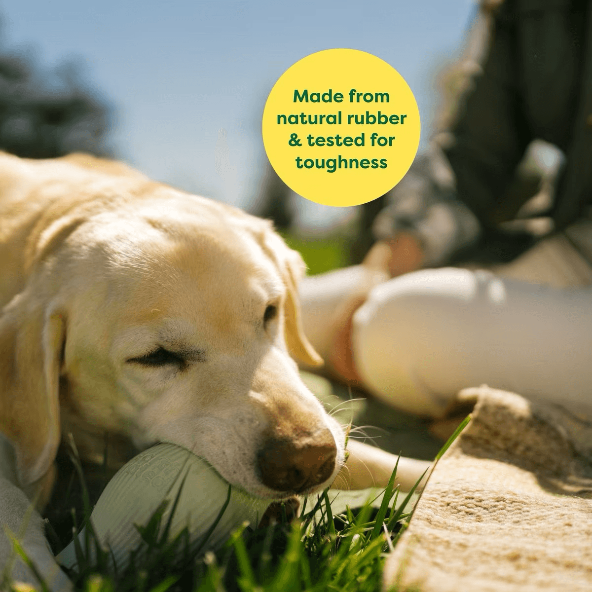 Earth Rated Treat Dispenser Dog Toy - Small - Dog Toys - Earth Rated - PetMax Canada