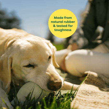 Earth Rated Treat Dispenser Dog Toy - Small - Dog Toys - Earth Rated - PetMax Canada