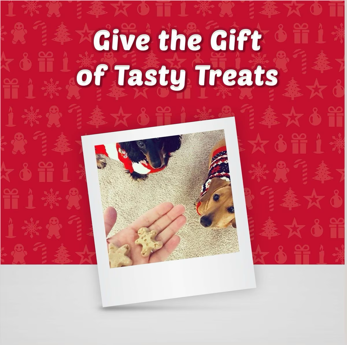 Blue Buffalo Santa Snacks Crunchy Biscuits Dog Treats  Dog Treats  | PetMax Canada