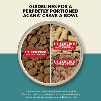 Acana Premium Pate Lamb Wet Dog Food Recipe