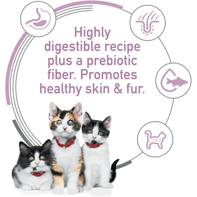 Hill's Science Diet Kitten Canned Sensitive Stomach & Skin Salmon & Vegetable Stew
