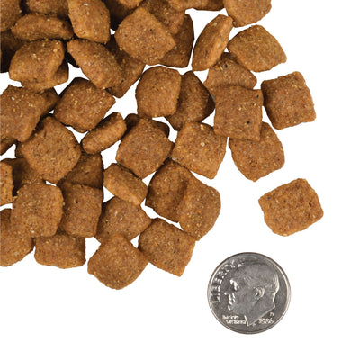 Nourriture pour chiens adultes Fromm Gold