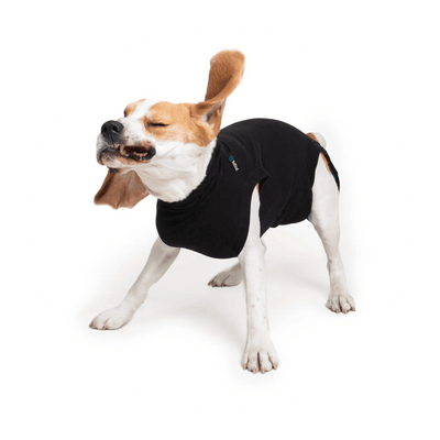 Suitical Dog Recovery Suit Black - Small - Dog Miscellaneous - Suitical - PetMax Canada