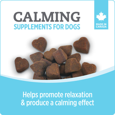 Nutrience Care Calming Supplement for Dogs