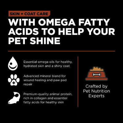 VA! SOIN DE LA PEAU + DU PELAGE Recette Saumon pour chiens