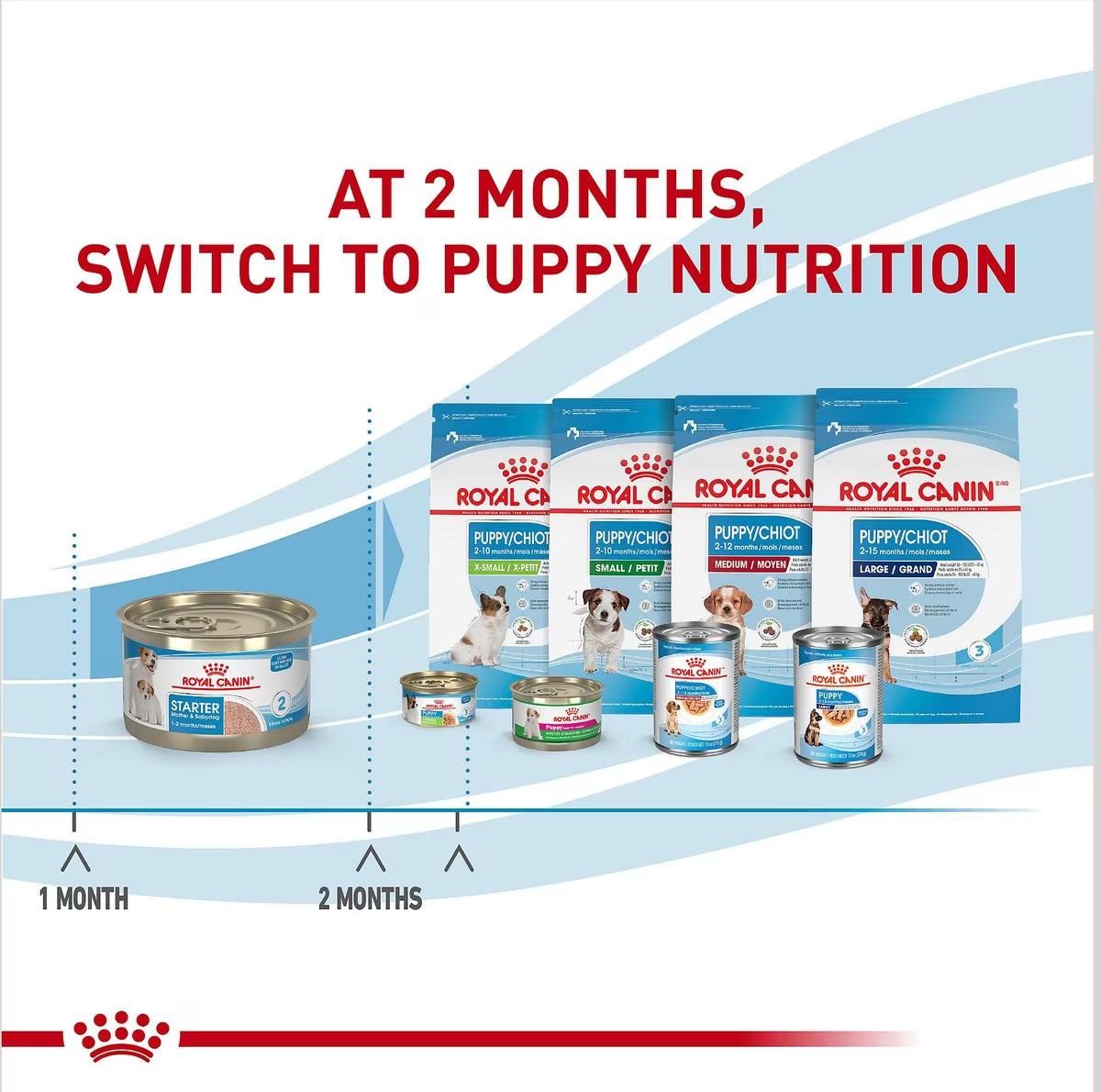 Royal Canin Size Health Nutrition Starter Mother & Babydog Mousse In Sauce Canned Dog Food  Canned Dog Food  | PetMax Canada