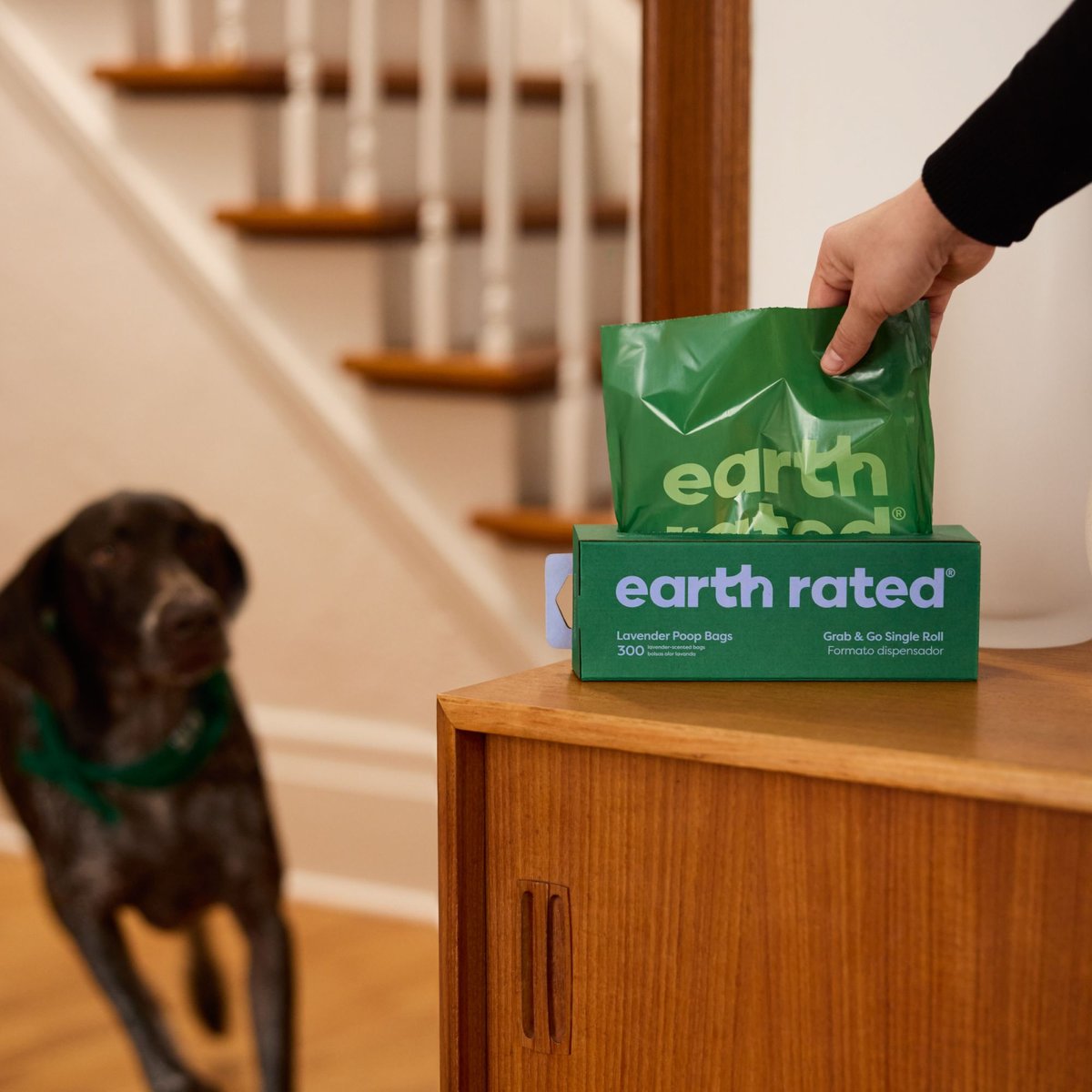 Earth Rated 300 Lavender-Scented Dog Waste Bags on a Single Roll  Waste Management  | PetMax Canada