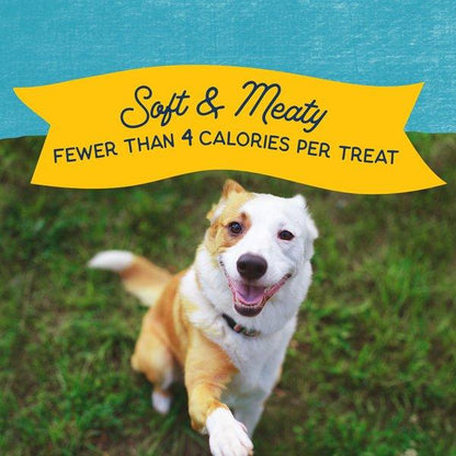 Natural Balance Rewards Minis with Real Turkey Dog Treats - 150g - Dog Treats - Natural Balance - PetMax Canada