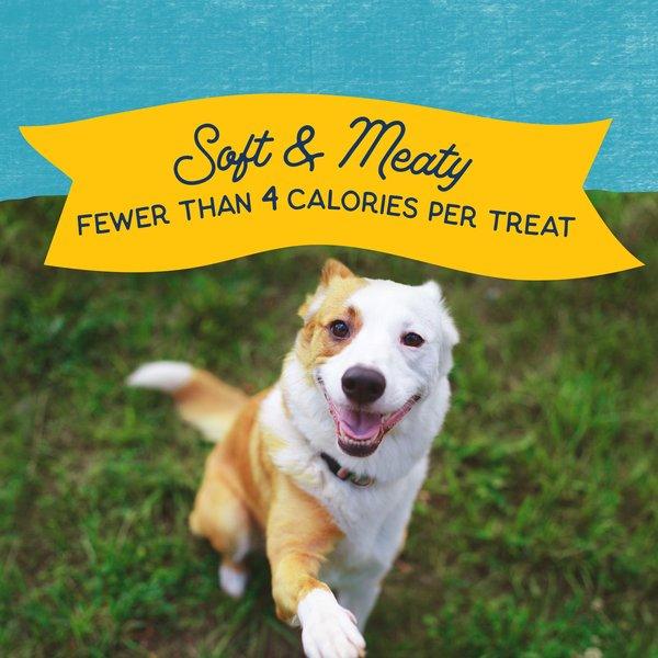 Natural Balance Rewards Minis with Real Turkey Dog Treats - 150g - Dog Treats - Natural Balance - PetMax Canada