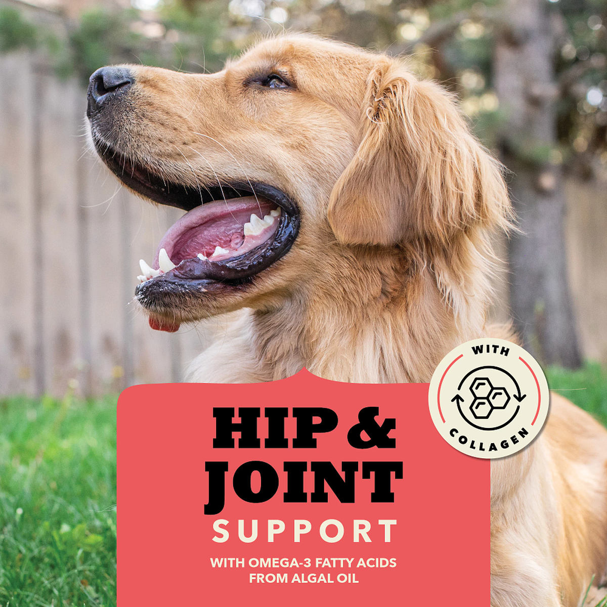 Acana Chewy Strips Hip & Joint Beef Dog Treats