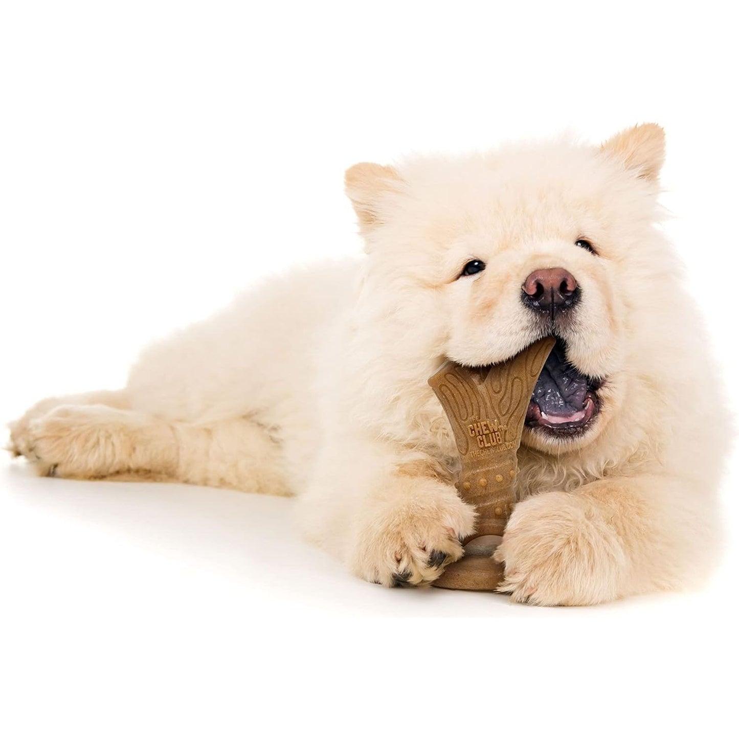 The Chew Club Powerbone Dog Chew Nylon & Bamboo Chew Branch  Nylon  | PetMax Canada