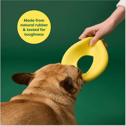 Earth Rated Fly Toy Yellow - Small - Dog Toys - Earth Rated - PetMax Canada