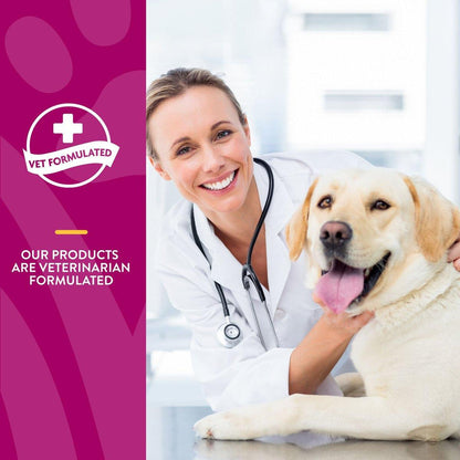 NaturVet Scoopables Glucosamine DS Plus Level 2 Moderate Joint Care Dog Supplement - Default Title - Health Care - Naturvet - PetMax Canada