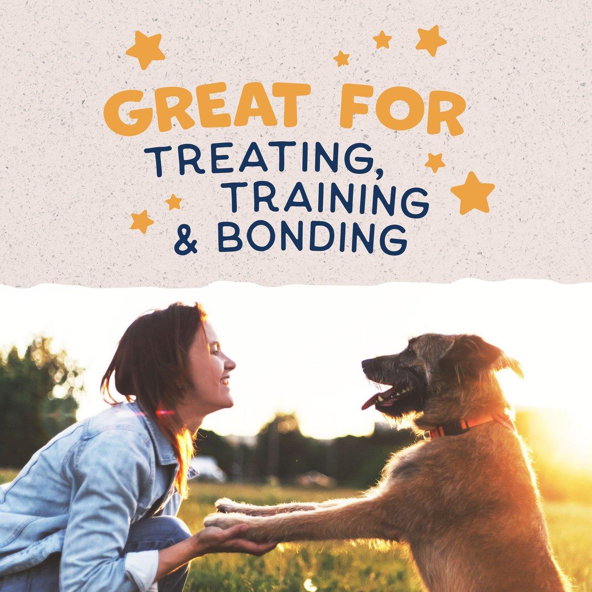 Natural Balance Rewards Jumpin' Stix With Real Duck Dog Treats - 113g - Dog Treats - Natural Balance - PetMax Canada