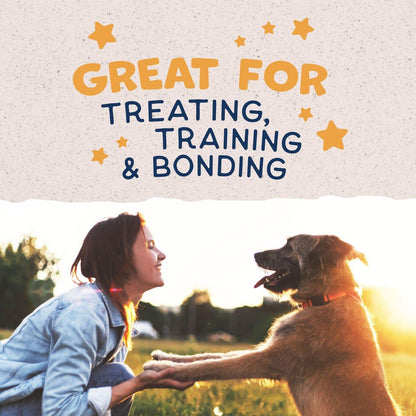 Natural Balance Rewards Jumpin' Stix With Real Duck Dog Treats - 113g - Dog Treats - Natural Balance - PetMax Canada