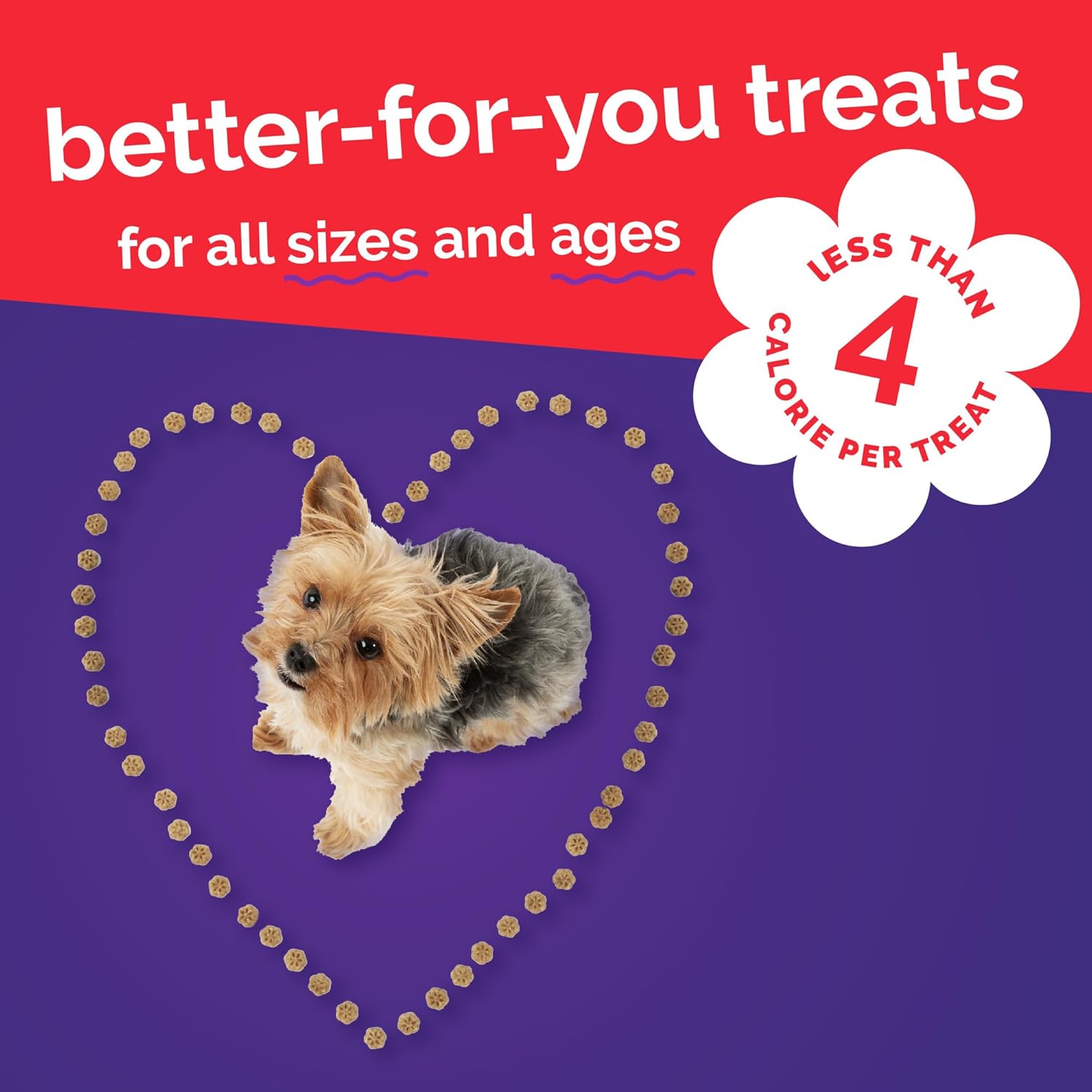 Gâteries pour chiens Skinny Minis de Fruitables Pomme et bacon