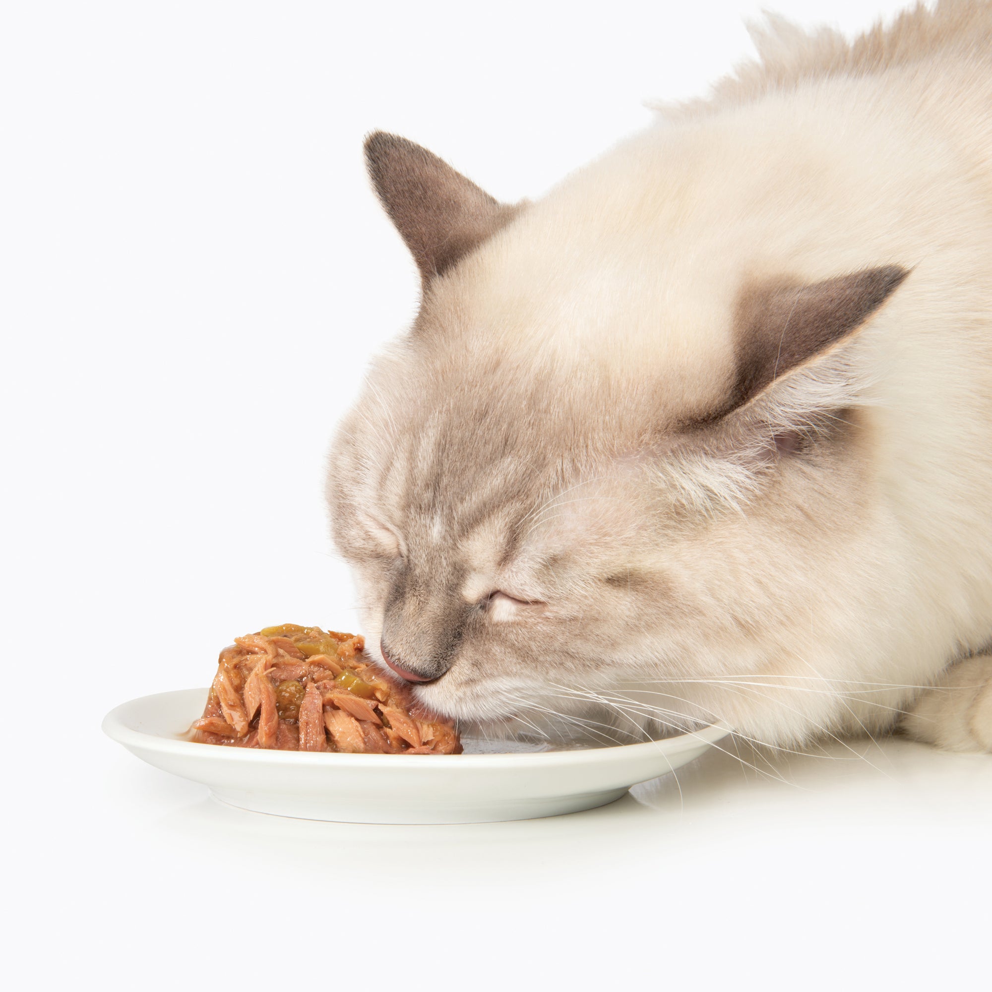 Nourriture humide pour chats CatIt Repas de poisson au thon et aux carottes