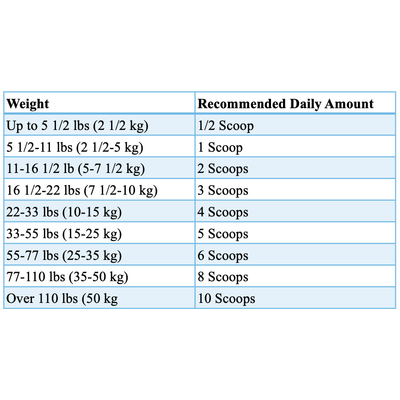 Wellmark Kidney Supplement