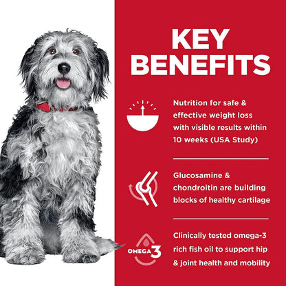 Hill's Science Diet Adult Perfect Weight & Joint Support Chicken Recipe Dry Dog Food - 11.3 Kg - Dog Food - Hill's Science Diet - PetMax Canada