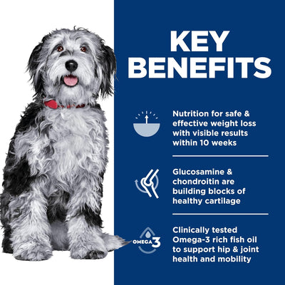 Hill's Science Diet Canine Can Perfect Weight & Joint Tuna & Hearty Vegetables
