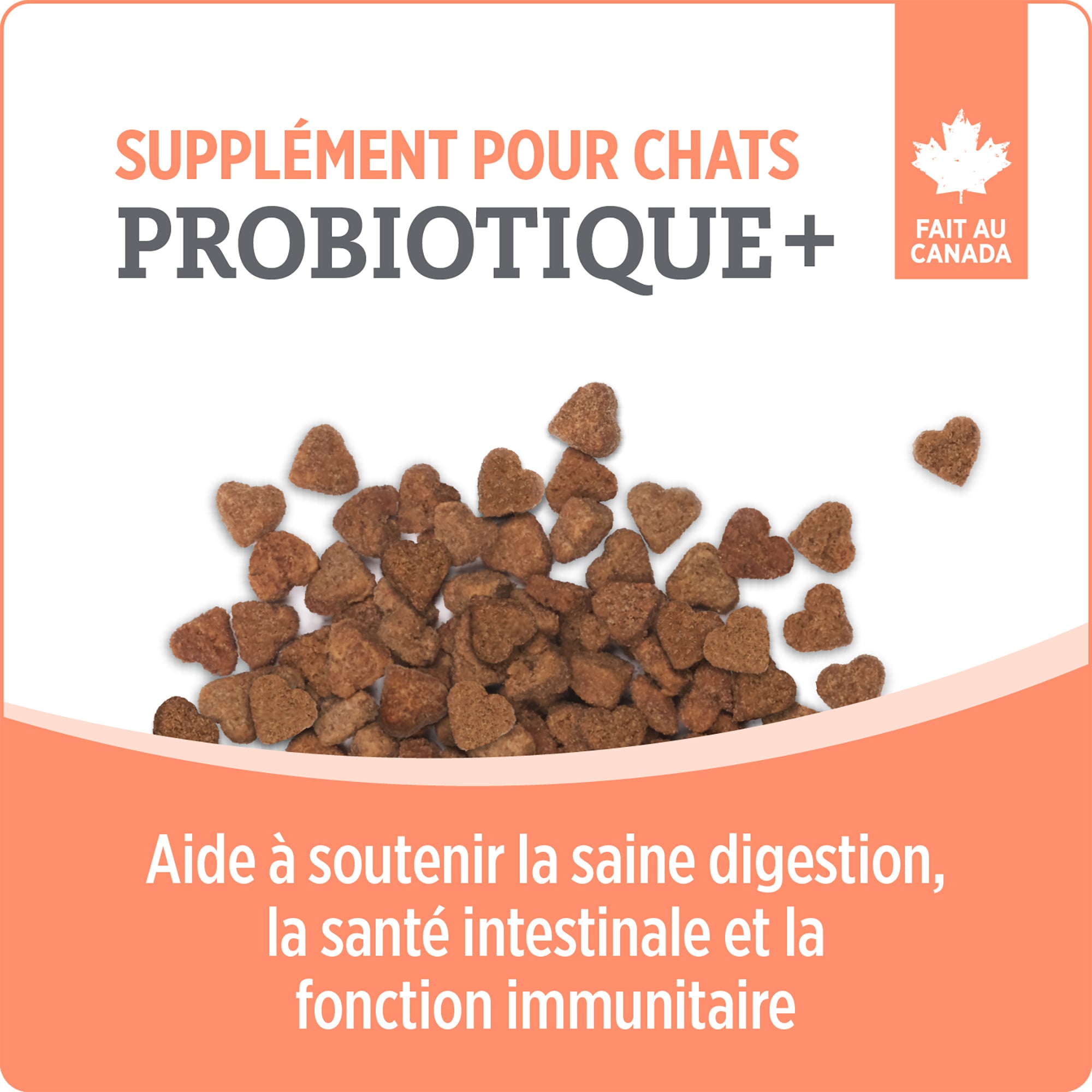 Nutrience Care Probiotic Supplement for Cats