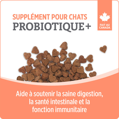 Nutrience Care Probiotic Supplement for Cats
