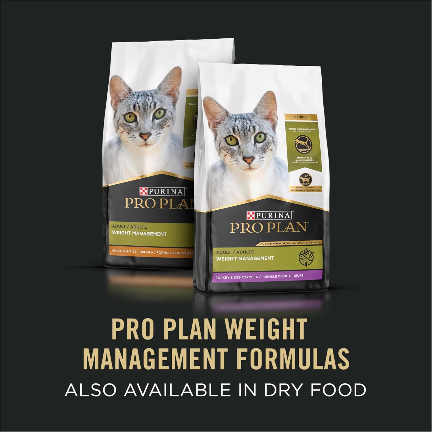 Purina Pro Plan Focus Adult Weight Management Turkey and Rice Wet Cat Food