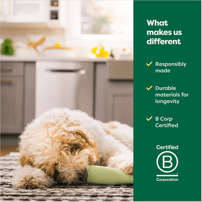 Earth Rated Green Rubber Chew Dog Toy - Small - Dog Toys - Earth Rated - PetMax Canada