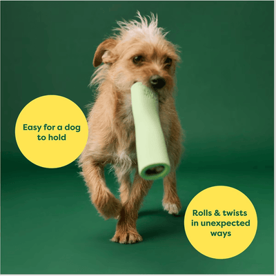 Earth Rated Green Rubber Chew Dog Toy - Small - Dog Toys - Earth Rated - PetMax Canada
