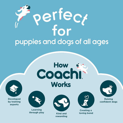 Coachi Target Stick - Default Title - Training Products - COACHI - PetMax Canada