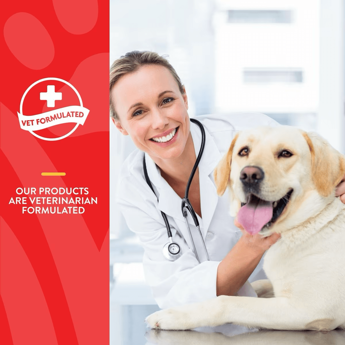 Naturvet Dog Scoopables Allergy Aid Supplement - Default Title - Health Care - Naturvet - PetMax Canada