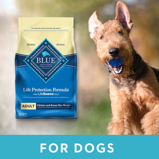 Cheapest place to buy blue buffalo best sale