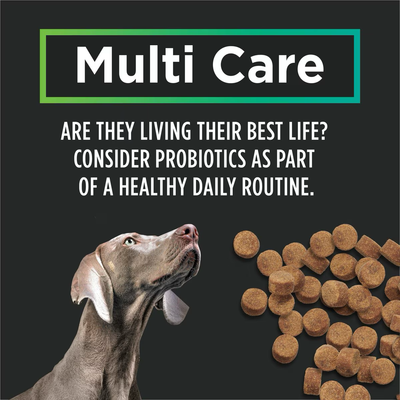 Purina Pro Plan Veterinary Supplements Multi Care Canine Chew Dog Supplement