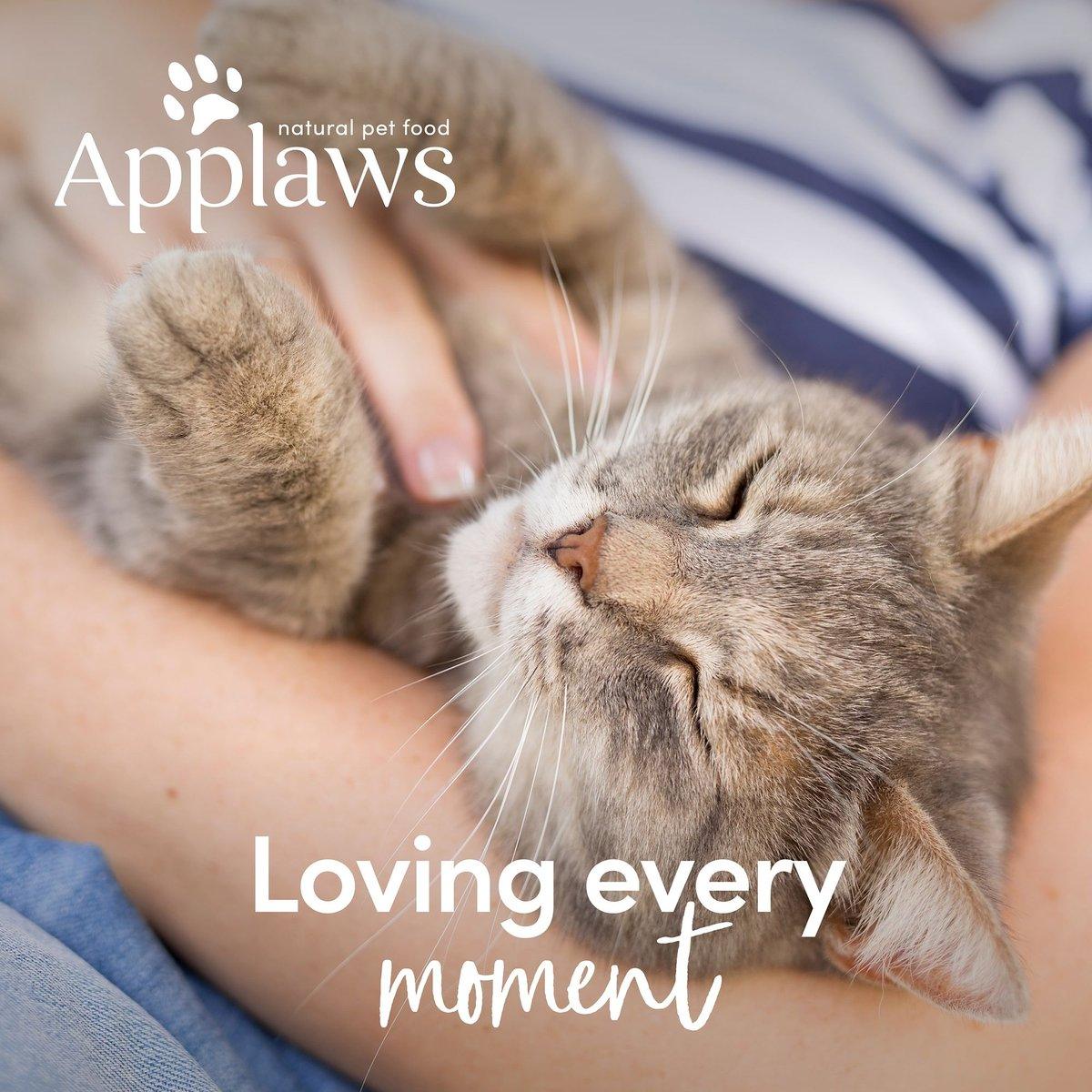 Applaws Tuna Fillet Canned Cat Food - 70g - Canned Cat Food - Applaws - PetMax Canada