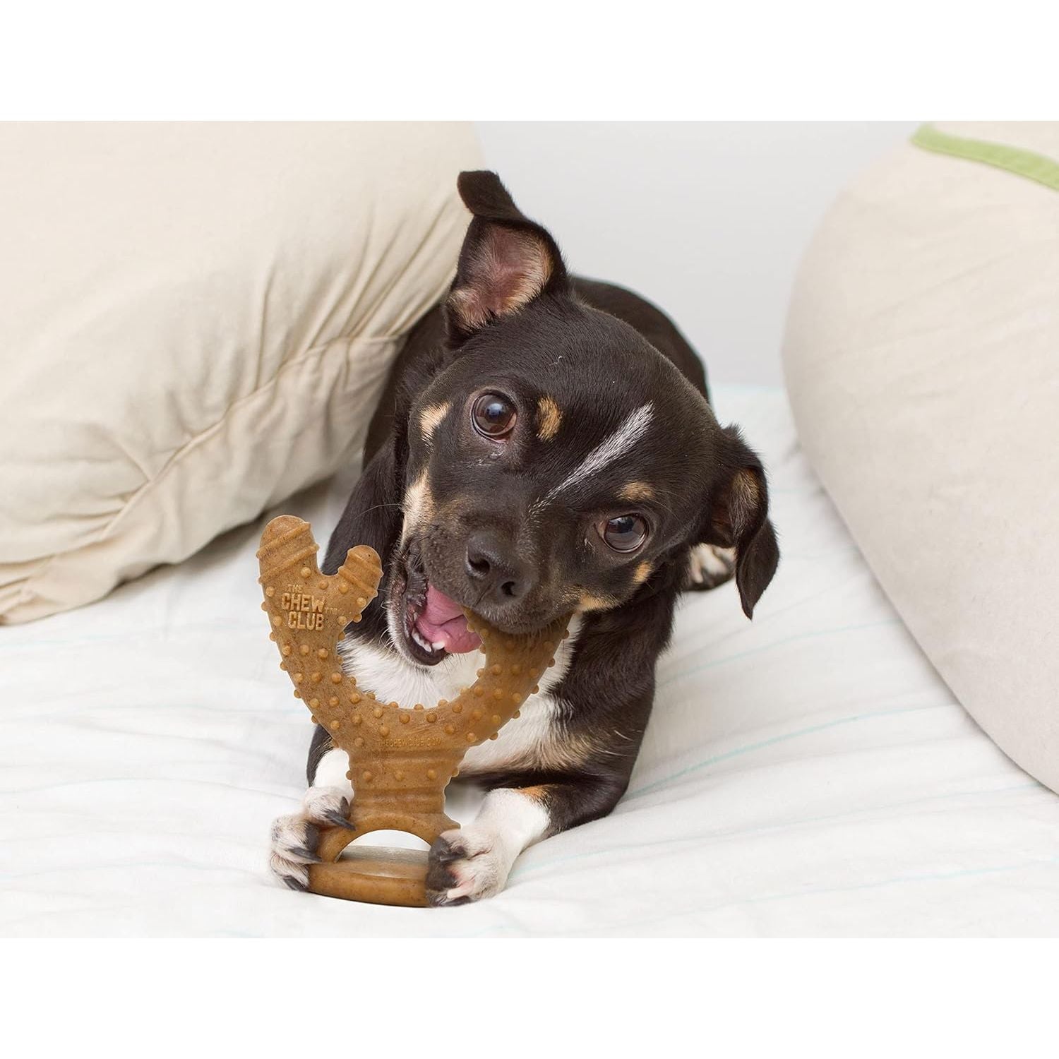 The Chew Club Powerbone Dog Chew Nylon & Bamboo Chew Antler  Nylon  | PetMax Canada