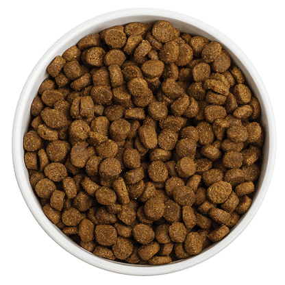 Red Barn Grain-Free Sky Recipe Dog Food - 1.8 kg - Dog Food - Red Barn Pet Products - PetMax Canada