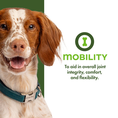 Fromm Nutritionals Mobility Dog Treats