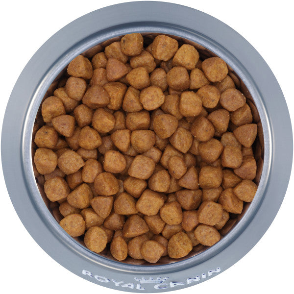 Royal Canin Feline Breed Nutrition Ragdoll Adult Dry Cat Food  Cat Food  | PetMax Canada